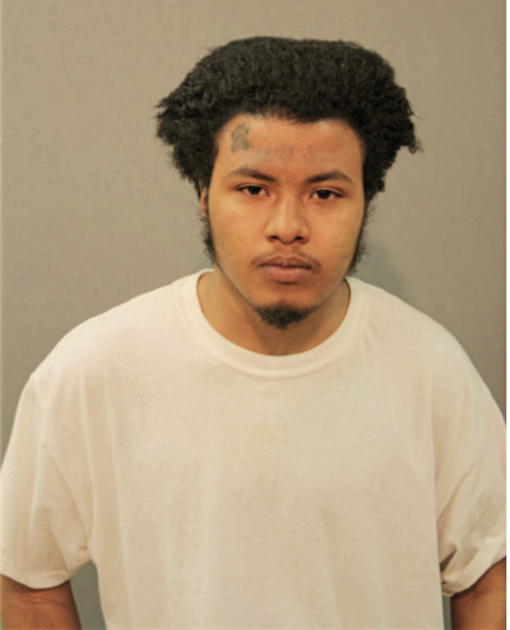 RAYMOND HERNANDEZ, Cook County, Illinois
