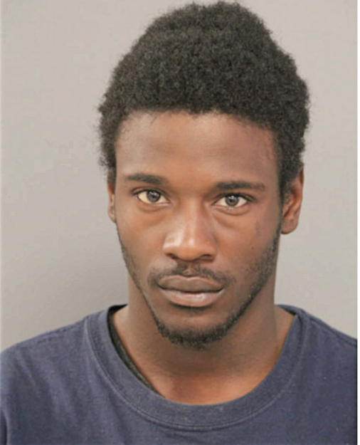 FERDINAND L JOHNSON, Cook County, Illinois