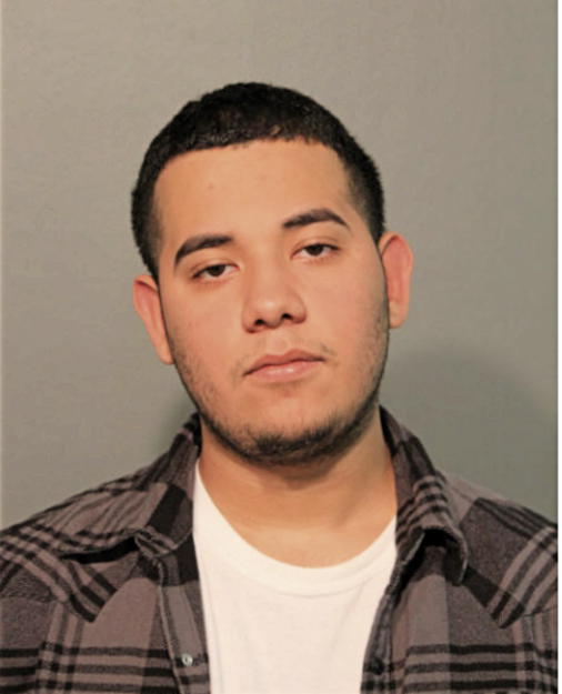 MAURICIO LEON JR, Cook County, Illinois