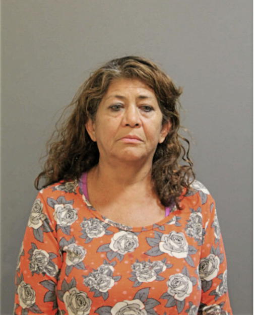 ELVA C KHAIRON, Cook County, Illinois