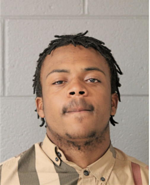 SEAN L KING, Cook County, Illinois
