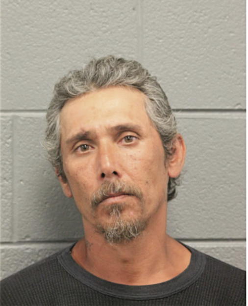 ROBERT A LENNING, Cook County, Illinois