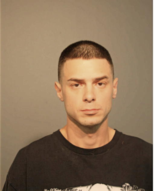 WILLIAM M LORENZ, Cook County, Illinois