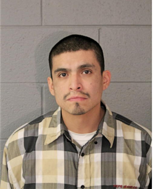CESAR MARIN, Cook County, Illinois
