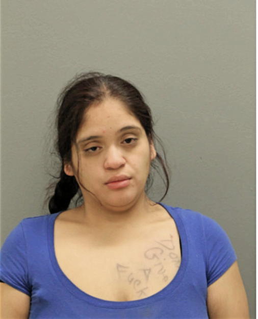 ASHLEY N MARTINEZ, Cook County, Illinois