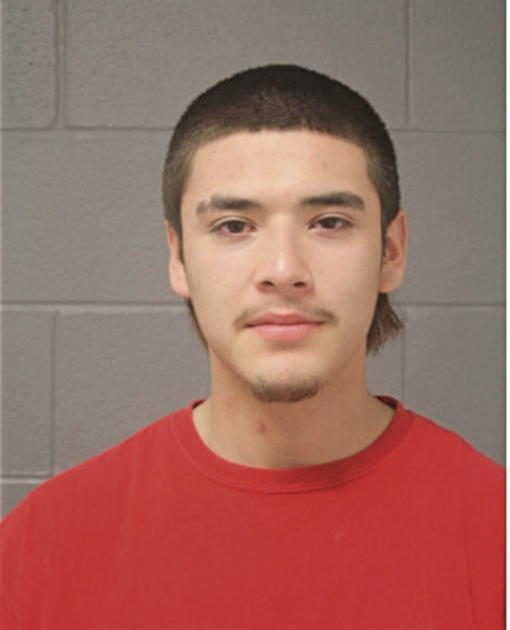JORGE LUIS MARTINEZ, Cook County, Illinois