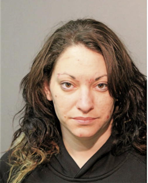 AMANDA K PALZ, Cook County, Illinois