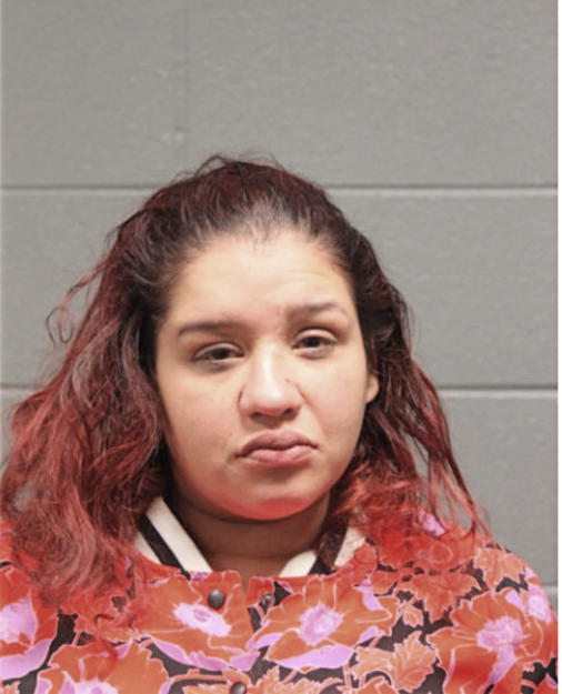 VENUS M RIVERA, Cook County, Illinois