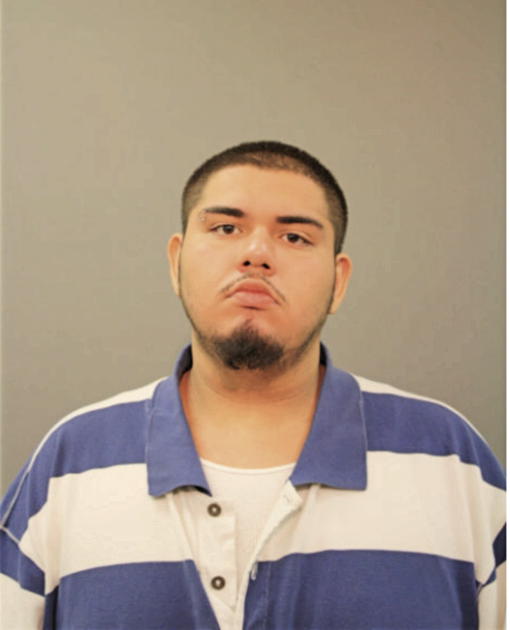 MIGUEL ANGEL SALAS, Cook County, Illinois