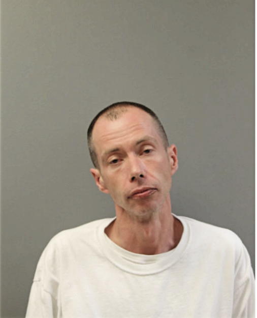 JASON R SEGGELING, Cook County, Illinois