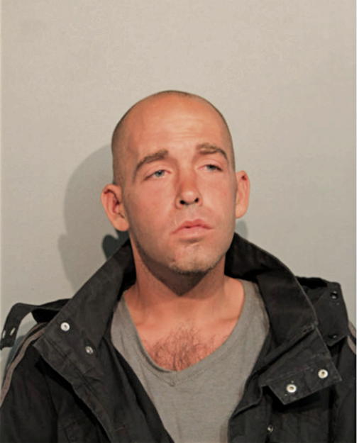 STEVEN P SHEPPARD, Cook County, Illinois