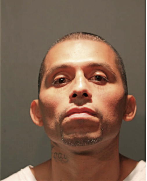 LUIS TORRES, Cook County, Illinois