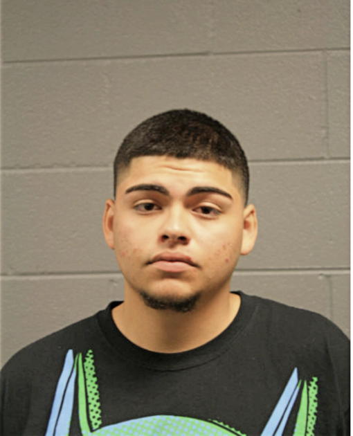DANIEL P VEGA, Cook County, Illinois