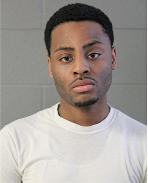 ANTHONY H WILLIAMS, Cook County, Illinois