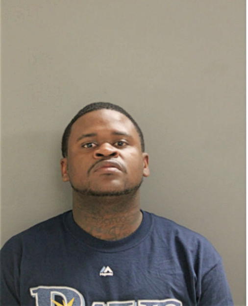 JAMES P WILLIAMS, Cook County, Illinois