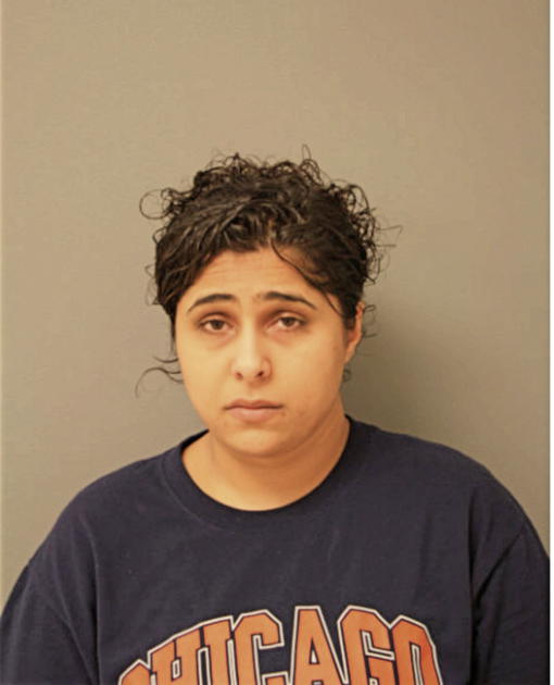 MERVAT M YOUSEF, Cook County, Illinois