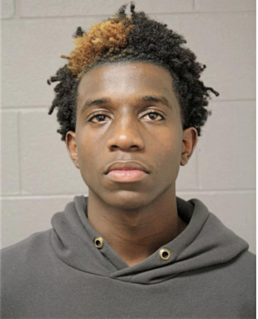 PHILLIP L BATIE, Cook County, Illinois