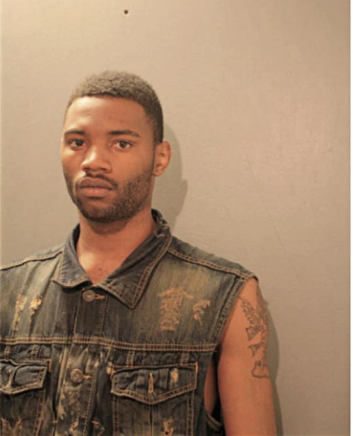 DEVAN D BRUNNER, Cook County, Illinois
