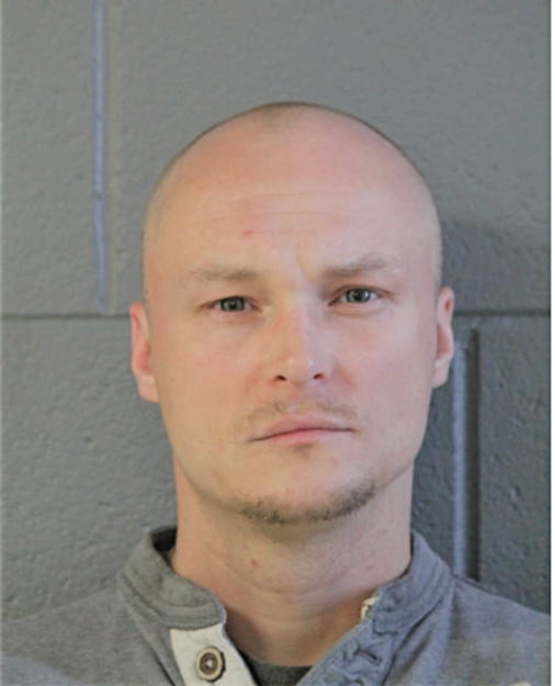 MICHAL BRYNIARSKI, Cook County, Illinois
