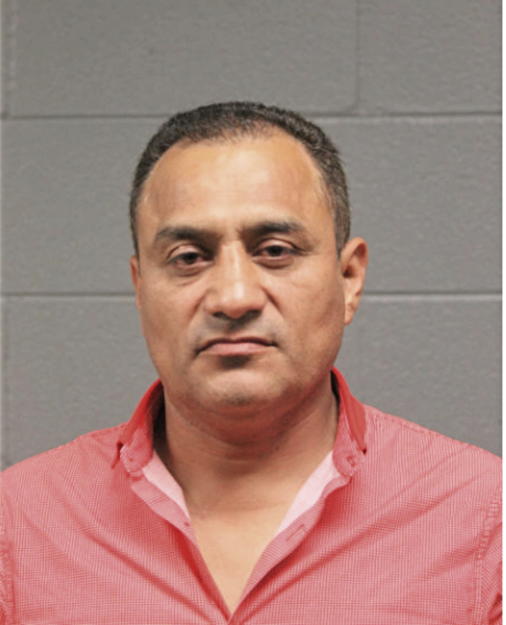 LEONARDO C ALCANTARA, Cook County, Illinois