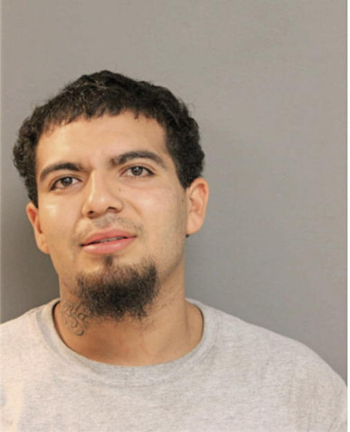 CESAR CERVANTES, Cook County, Illinois