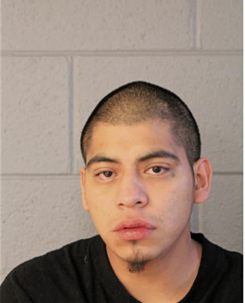EDILBERTO CERVANTES, Cook County, Illinois