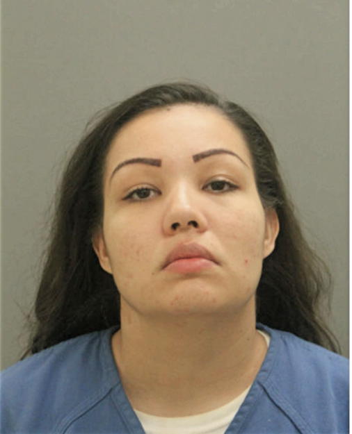 ALYSSA L GARICA, Cook County, Illinois