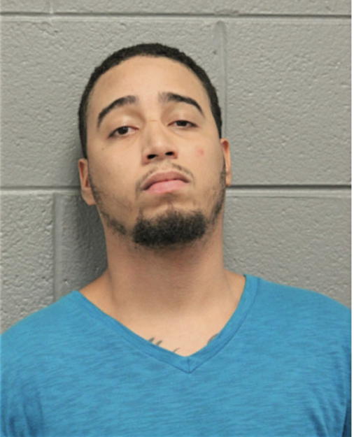 TONY D HEINTZ, Cook County, Illinois
