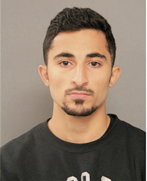 HAMMAD F ISA, Cook County, Illinois