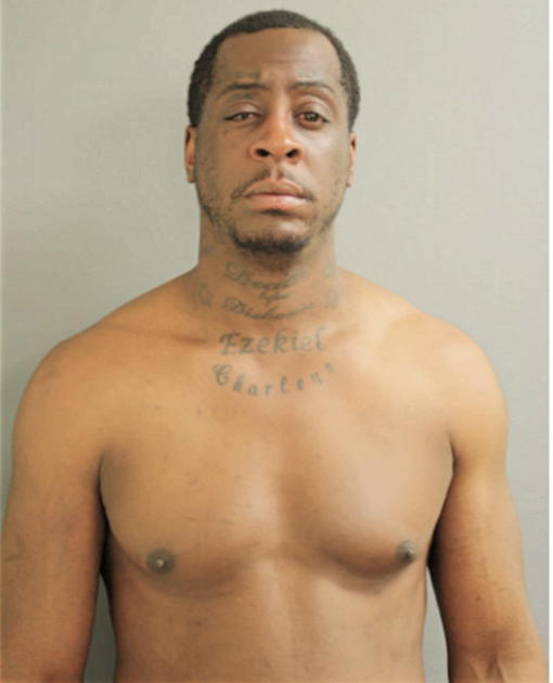 RONALD E JOHNSON, Cook County, Illinois