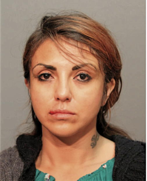 ANDREA SANDOVAL, Cook County, Illinois