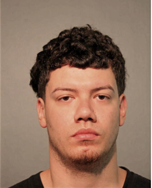 ANGEL LUIS TORRES, Cook County, Illinois