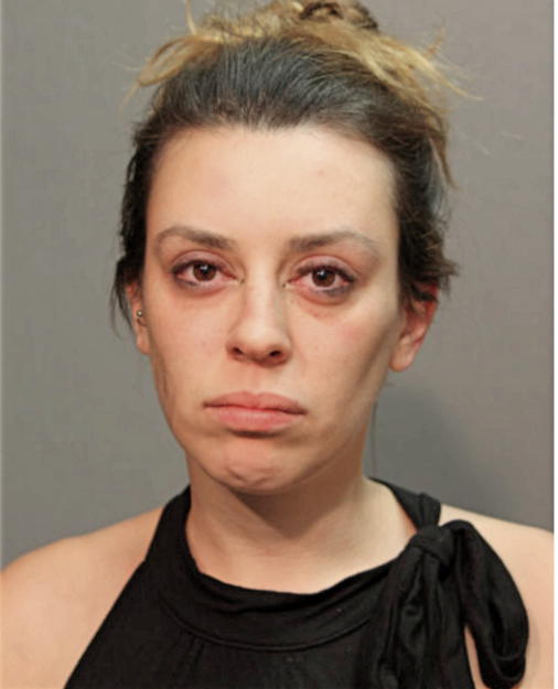 ANGELA L VAN DER PLUTM, Cook County, Illinois