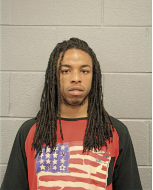 LANELLE T WHITE, Cook County, Illinois