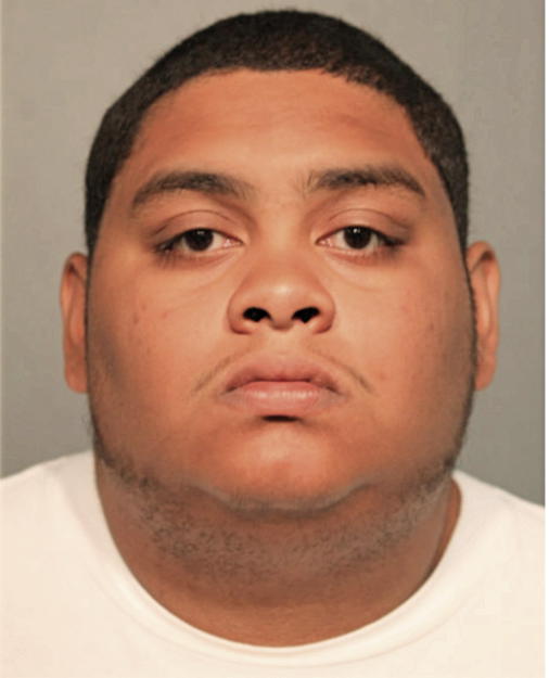 LUIS ALEMAN, Cook County, Illinois