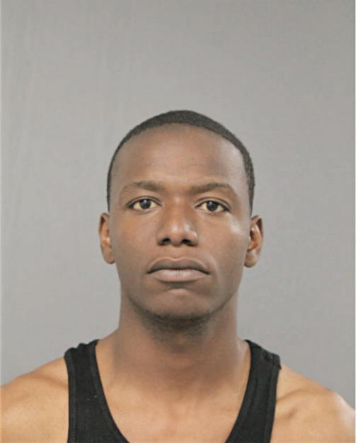 TERRENCE T ANDERSON, Cook County, Illinois