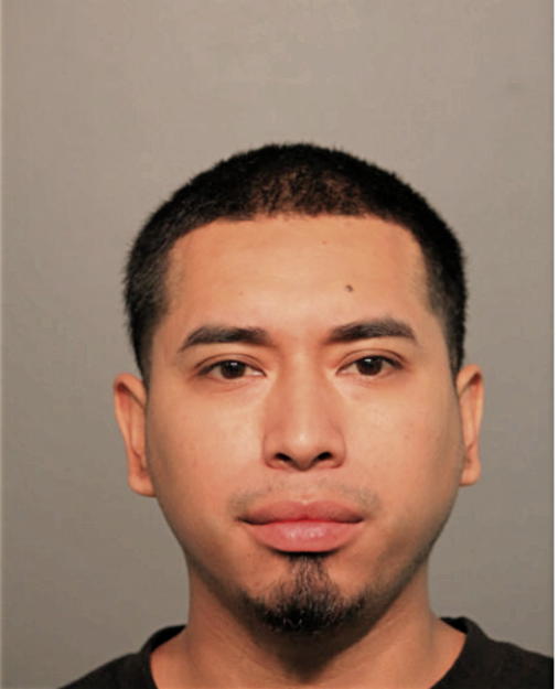 BERTIN AVELAR, Cook County, Illinois