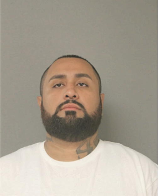 CHRISTIAN T DELATORRE, Cook County, Illinois