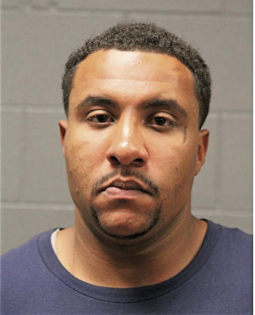 MICHAEL A ERICKSEN, Cook County, Illinois