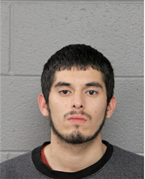 ALEJANDRO FLORES, Cook County, Illinois