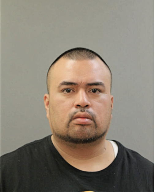 JESUS GAMA, Cook County, Illinois