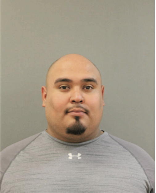 ANDRES A GARCIA, Cook County, Illinois