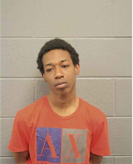 ASHANTE GOINS, Cook County, Illinois