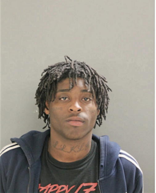 DEVON A HARDING, Cook County, Illinois