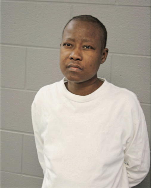 ANTOINETTE L HOLLOINS, Cook County, Illinois