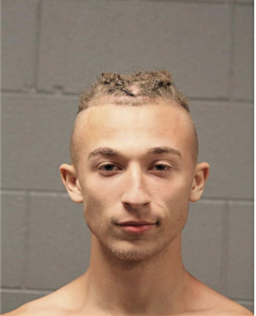 JUSTIN E JONES, Cook County, Illinois