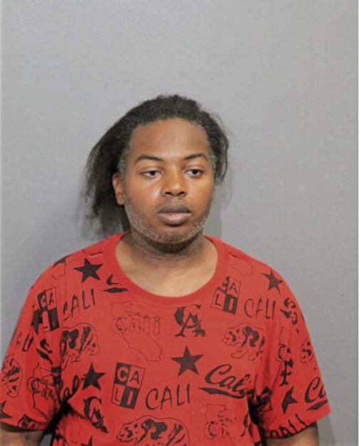 EARNEST D KING, Cook County, Illinois