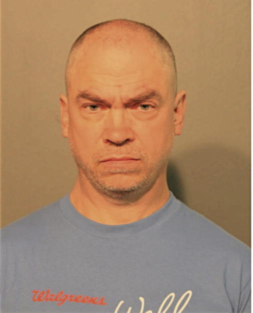 WESLEY L LEVISON, Cook County, Illinois