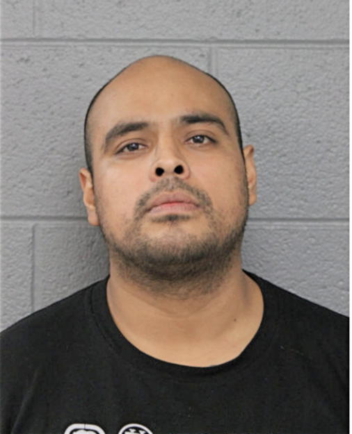 ENRIQUE MENA-GUZMAN, Cook County, Illinois