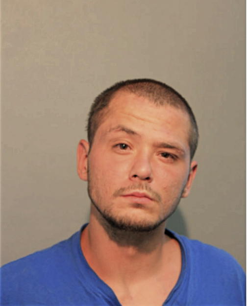 TERRY L MIKKELSON, Cook County, Illinois